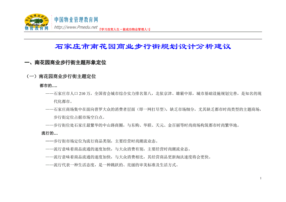 商业步行街规划设计建议报告_第1页