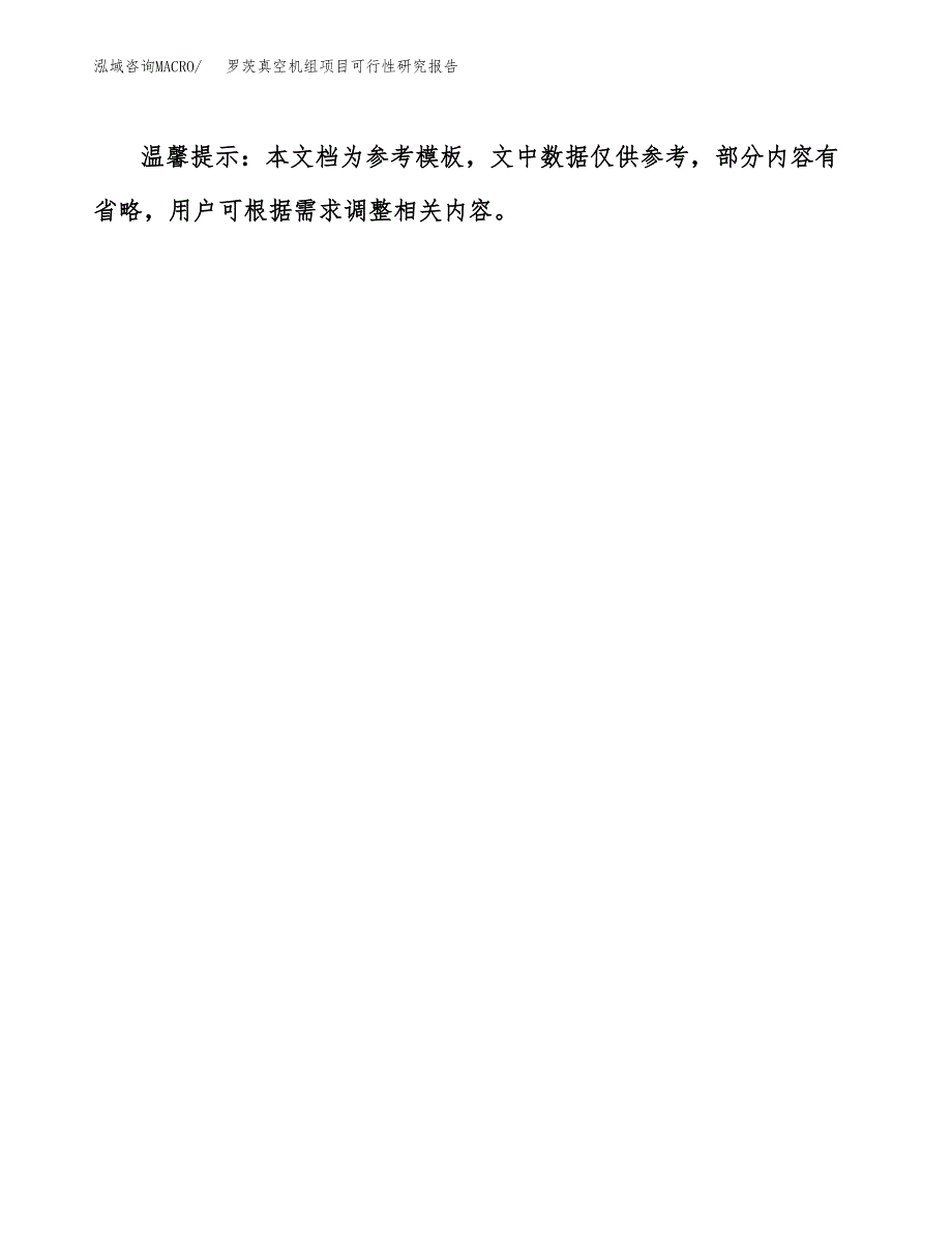 罗茨真空机组项目可行性研究报告（目录大纲及参考模板）_第4页