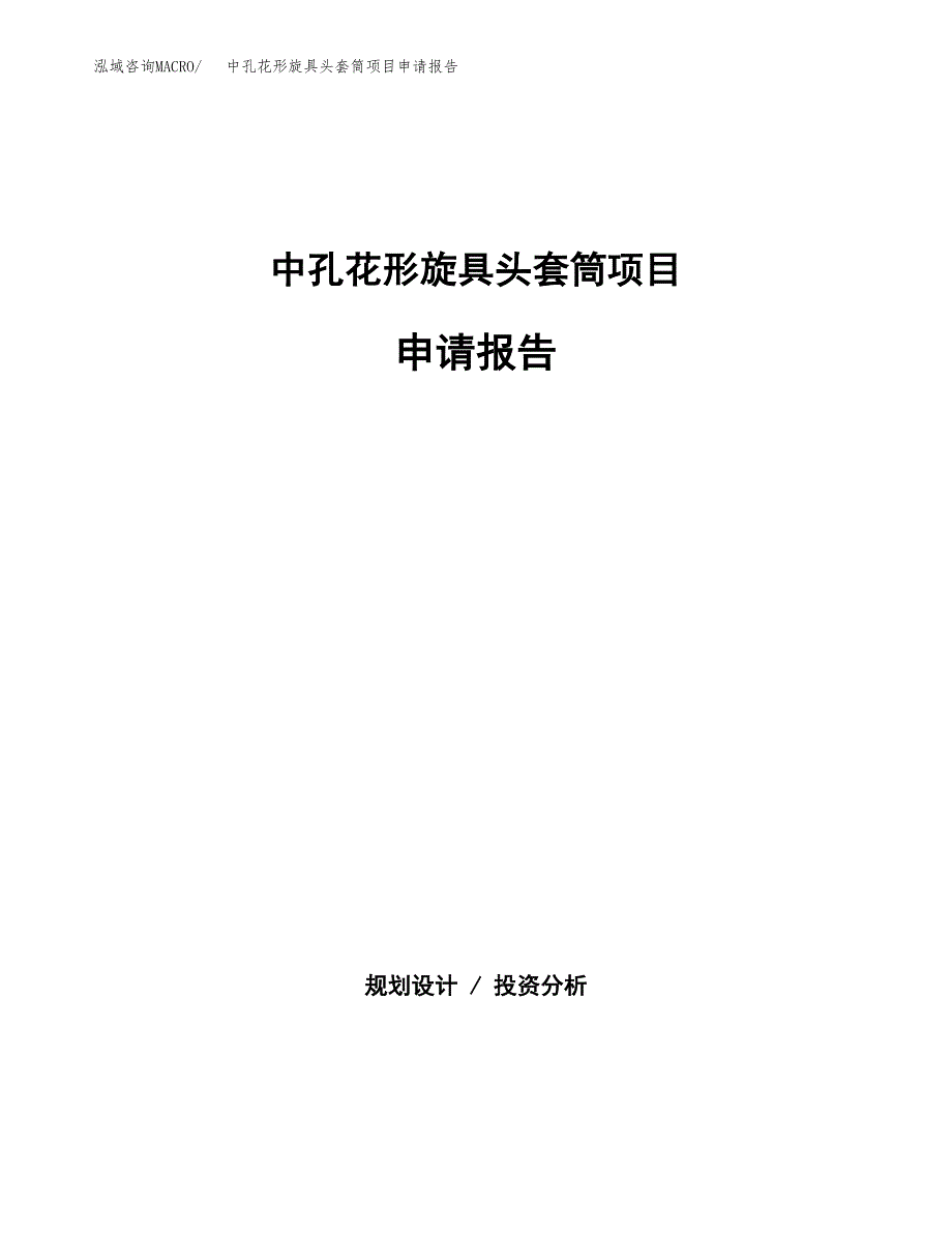 中孔花形旋具头套筒项目申请报告(目录大纲及参考模板).docx_第1页