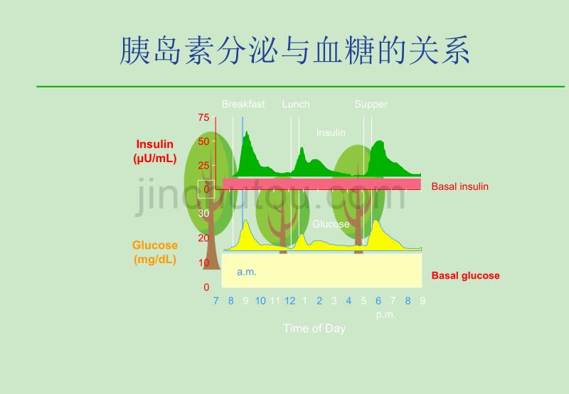 糖尿病胰岛素有效治疗_第4页