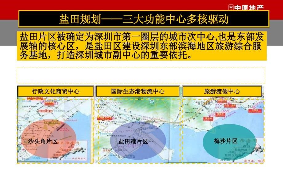 深圳旅游地产案例万科盐田滨海城营销报告_第5页