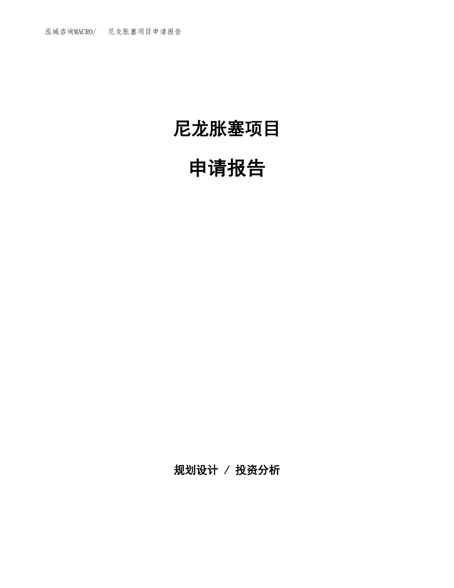 尼龙胀塞项目申请报告(目录大纲及参考模板).docx_第1页