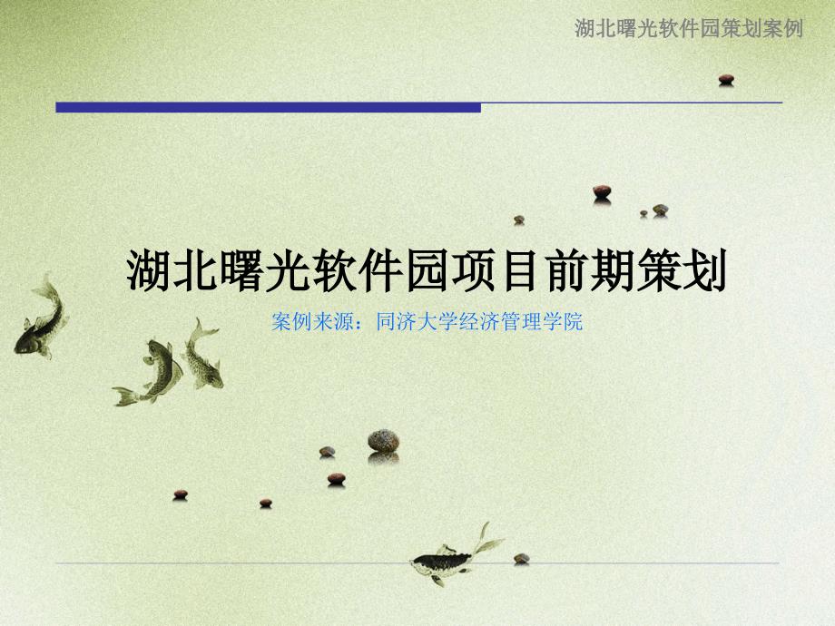 湖北曙光软件园项目前策划_第1页