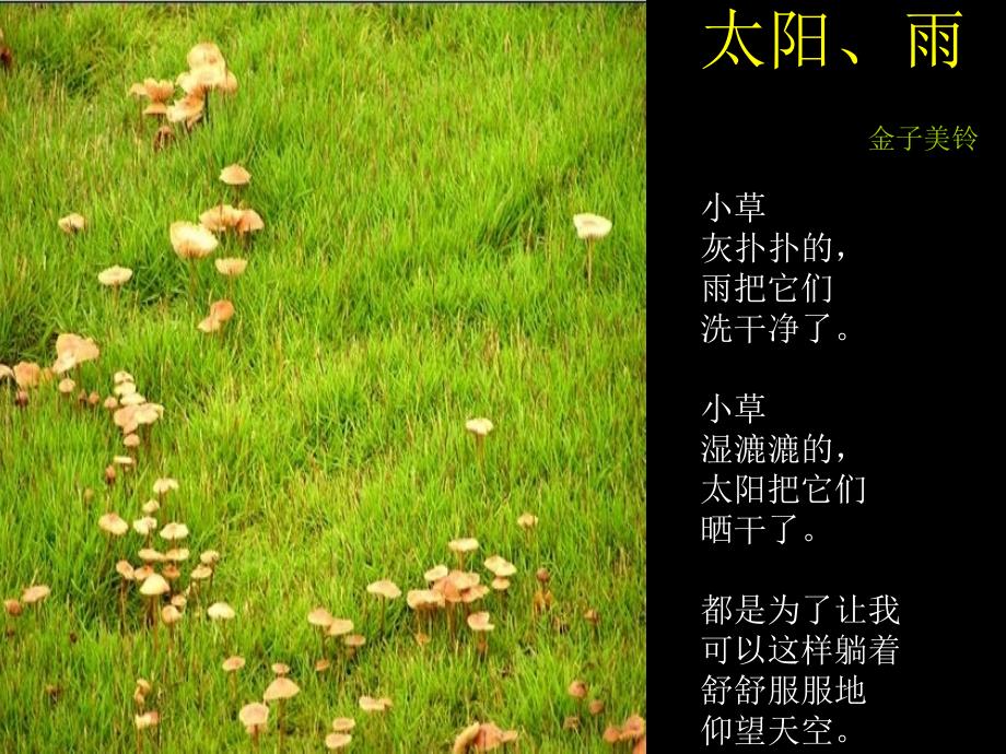 《金子美玲诗选42首》（胡红梅整理）.ppt_第1页