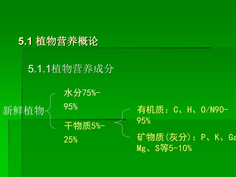 植物缺素症课件(1)_第3页