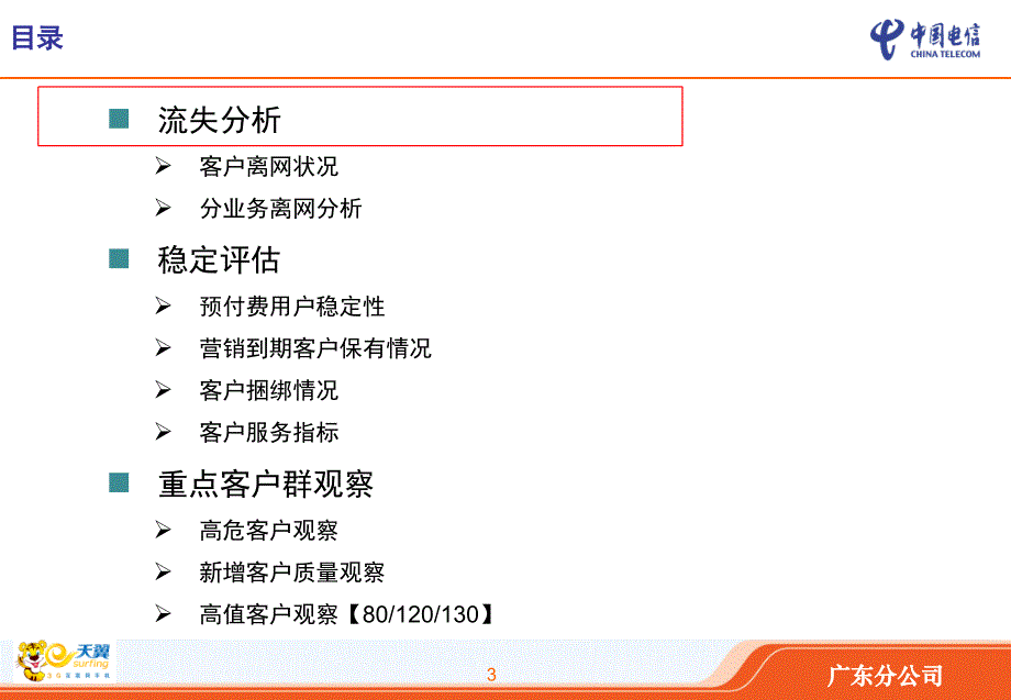 中国电信移动业务客户维系经营分析报告--广东分公司(ppt-48)_第3页