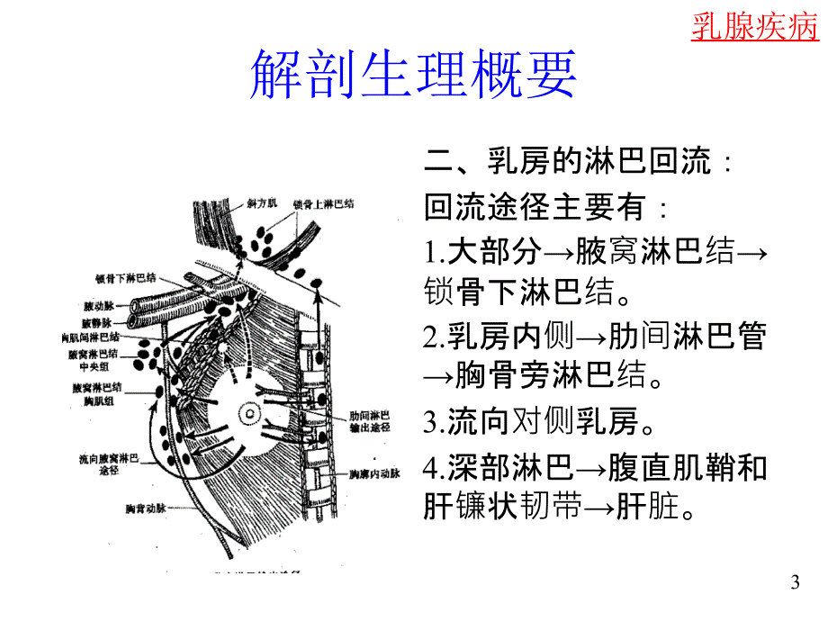 乳腺疾病(课件)概要_第3页