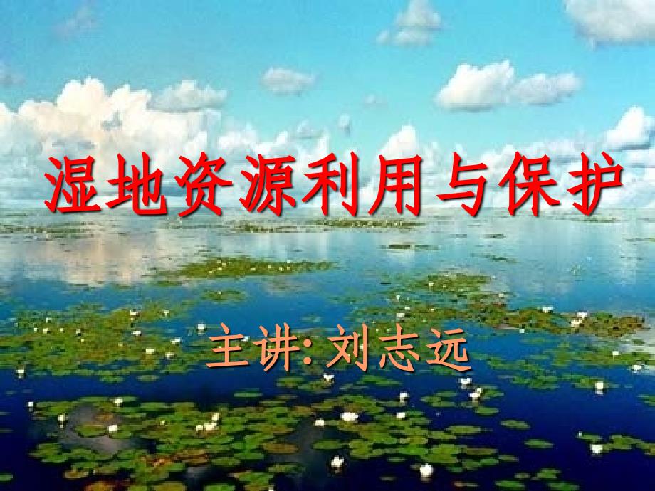 湿地的保护与利用_第1页