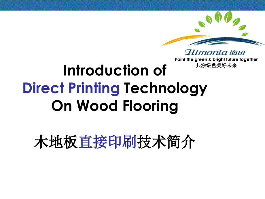 木地板直接印刷技术简介20100416概要_第1页
