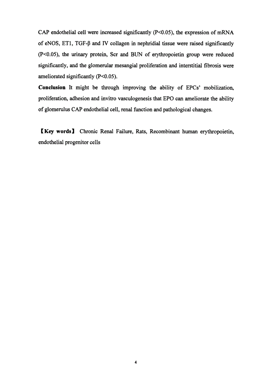 红细胞生成素对慢性肾衰竭大鼠内皮祖细胞动员和肾脏修复的影响_第4页