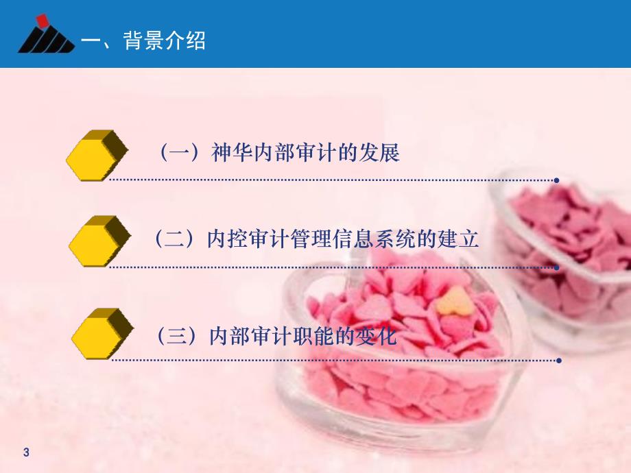 神华集团审计发现问题分类解析_第3页