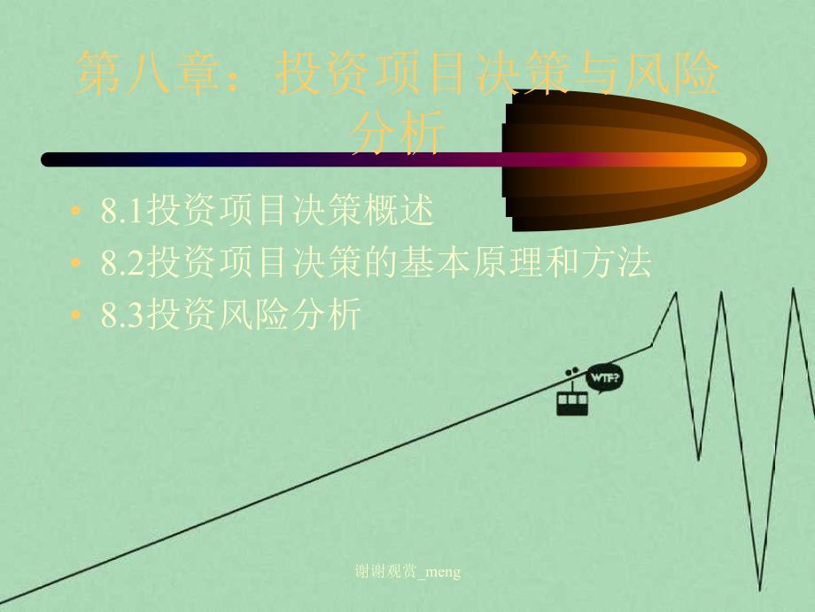 投资项目决策和风险分析_第1页