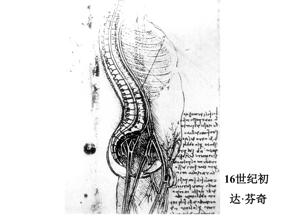 头部断层解剖概要_第3页