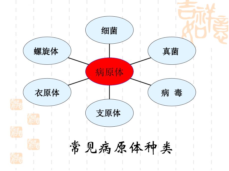 临床常见微生物标本采集法及影响临床微生物检验的因素.ppt_第4页