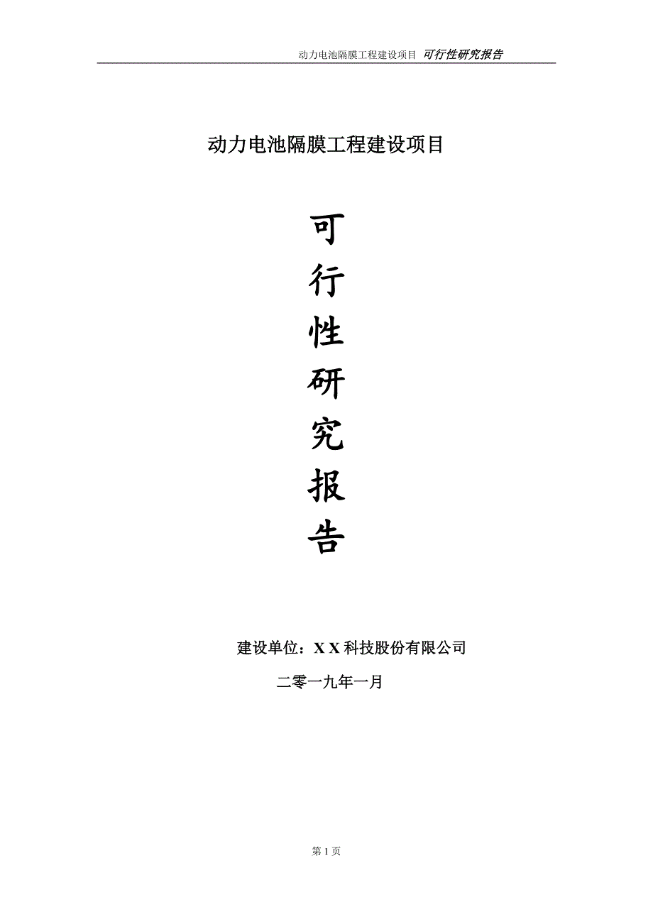 动力电池隔膜项目可行性研究报告（代申请报告）(1)_第1页