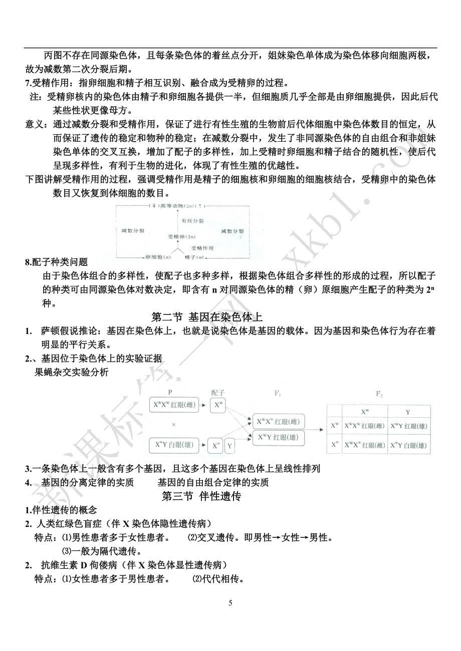 必修2遗传与进化知识点汇编_第5页