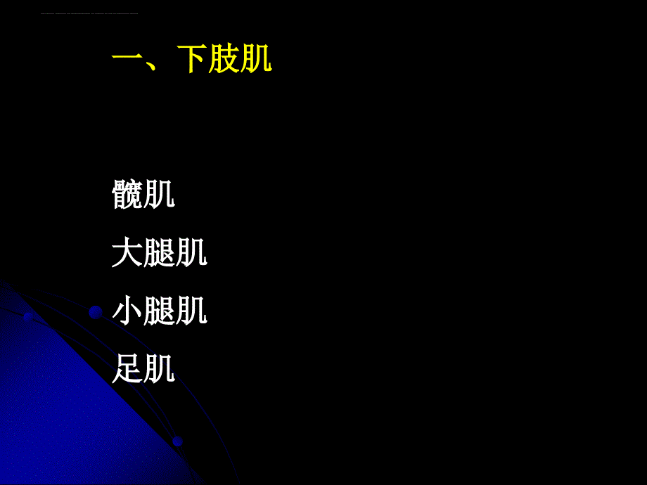 上肢下肢总结.ppt_第2页