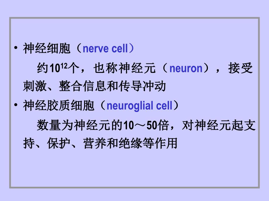 神经组织简介_第3页