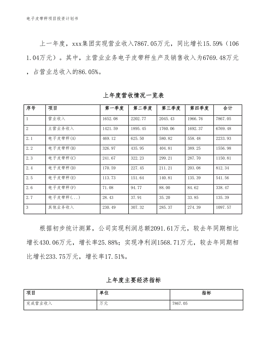 电子皮带秤项目投资计划书（参考模板及重点分析）_第3页