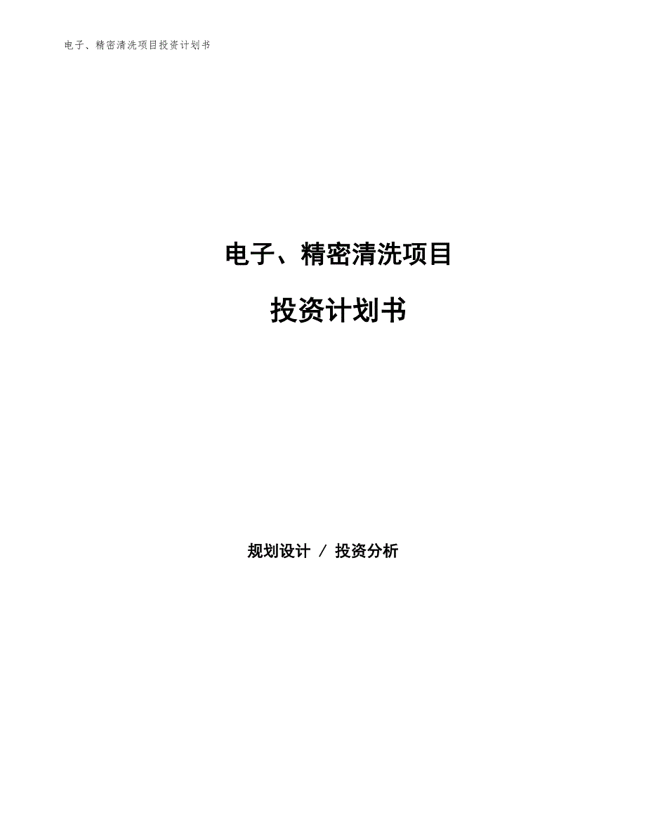 电子、精密清洗项目投资计划书（参考模板及重点分析）_第1页