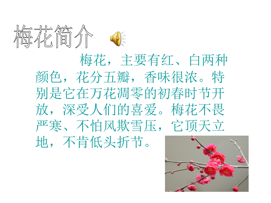 《梅花魂》ppt课件6-（1）.ppt_第2页