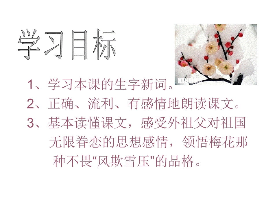 《梅花魂》ppt课件6-（1）.ppt_第4页