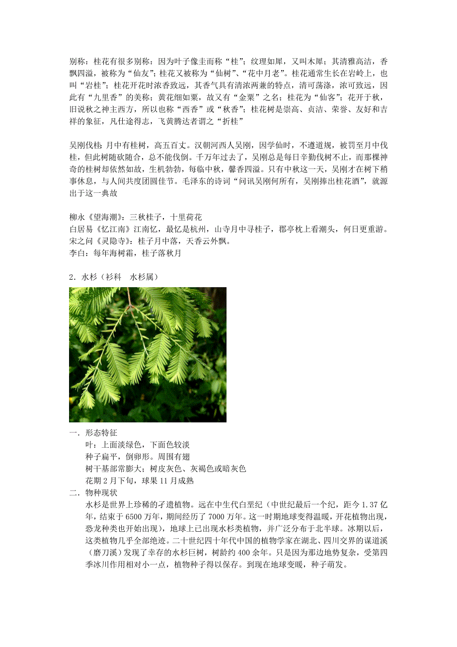 皇甫山植物_第2页