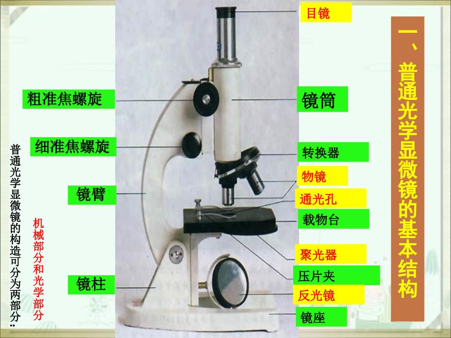 微生物学 实验1普通光学显微镜的使用及细菌形态的观察资料_第4页