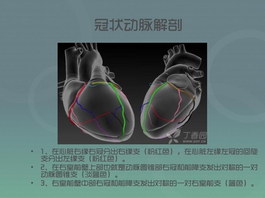 急性心肌梗死罪犯血管心电图判断讲义_第5页