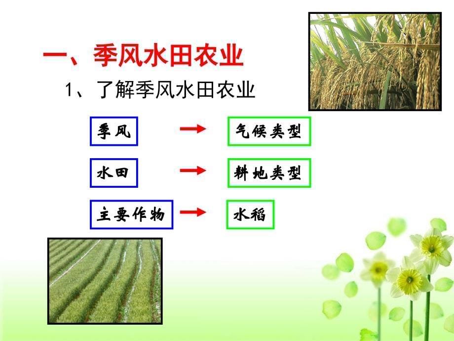 江西省南昌市湾里区第一中学人教版地理必修二3.2以种植业为主的农业地域类型_第5页