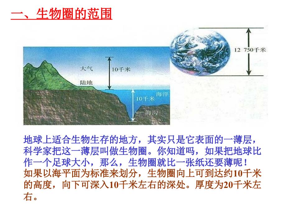 生物圈是最大的生态系统(课件)资料_第4页