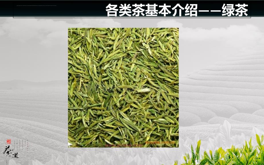 中国茶叶的分类及品质特征.ppt_第4页
