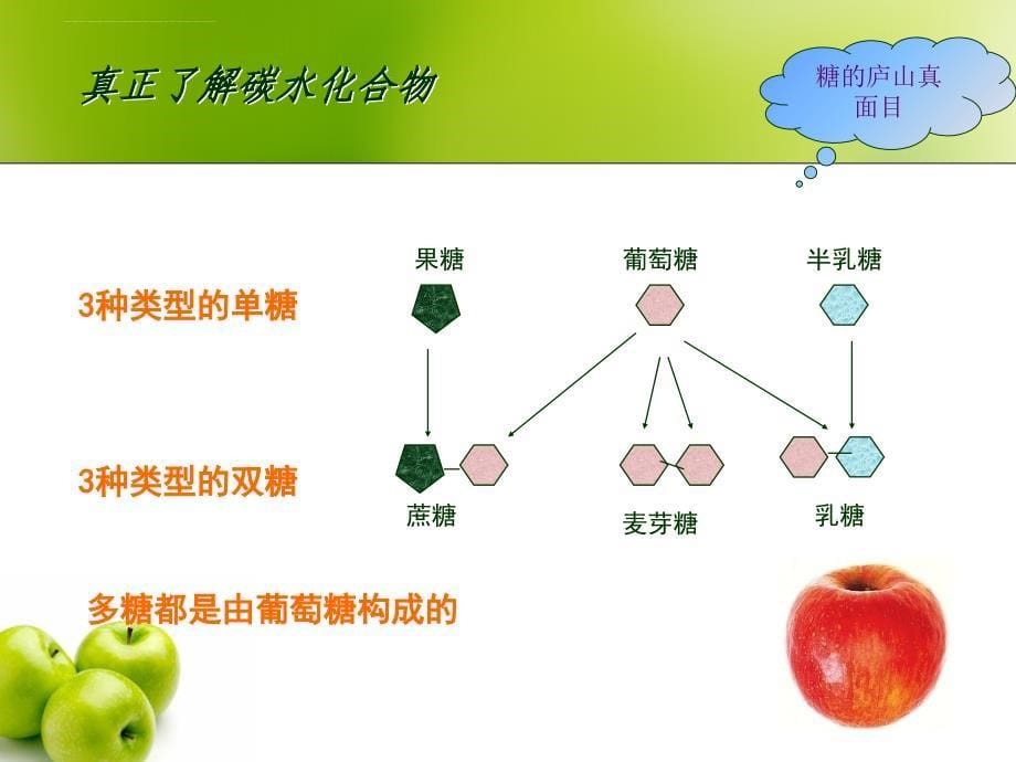 人体对碳水化合物的需要_2.ppt_第5页