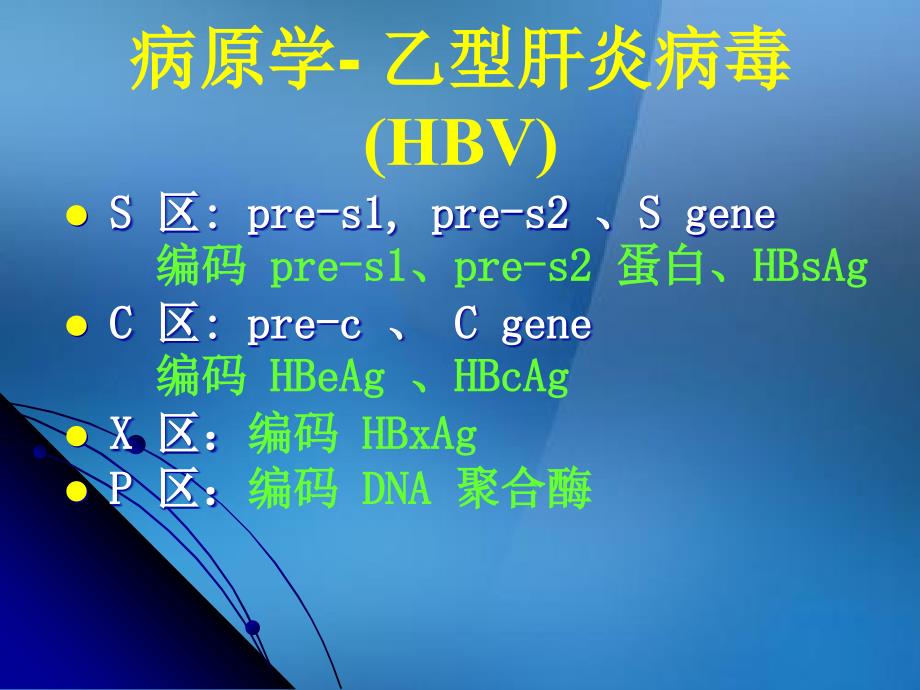 病原学乙型肝炎病毒HBV_第4页