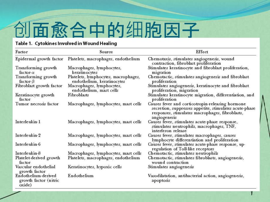 实用创面愈合指南手册_第4页