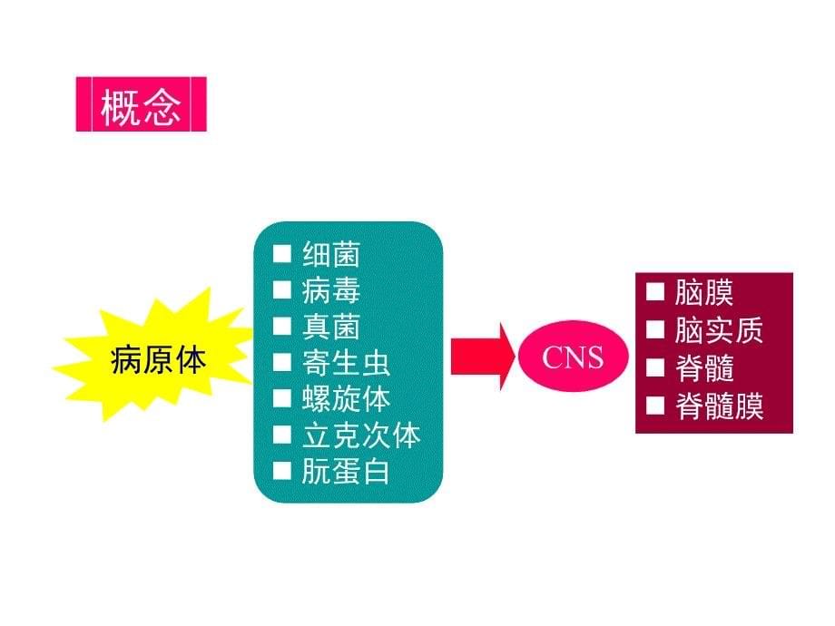 中枢神经系统感染课件.ppt_第5页