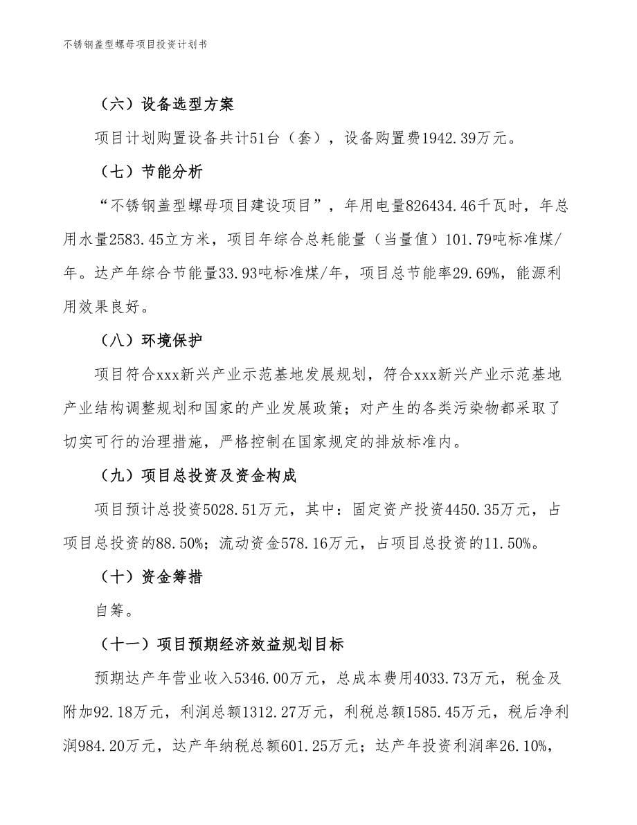 不锈钢盖型螺母项目投资计划书（参考模板及重点分析）_第5页