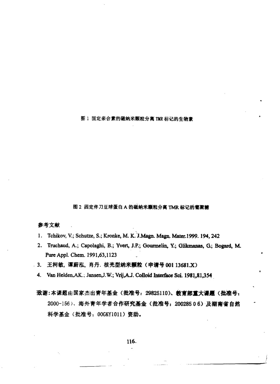 硅壳磁纳米颗粒制备及其在生物分子分离中的应用_第2页