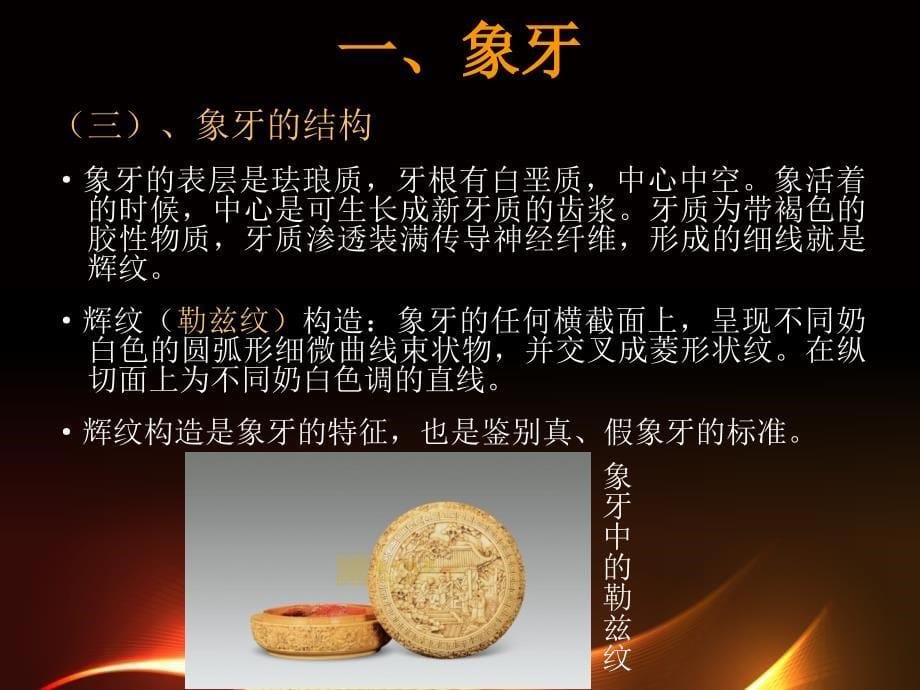 象牙与琥珀_第5页