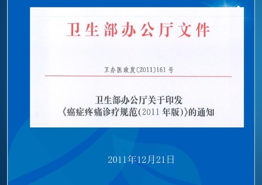 癌痛诊疗标准规范讲义_第2页