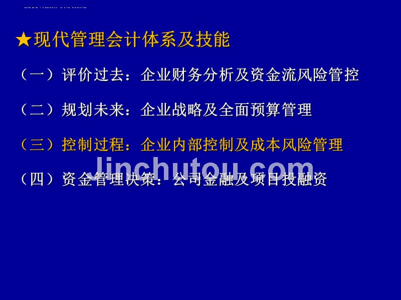 企业内部控制及成本风险管理.ppt_第2页