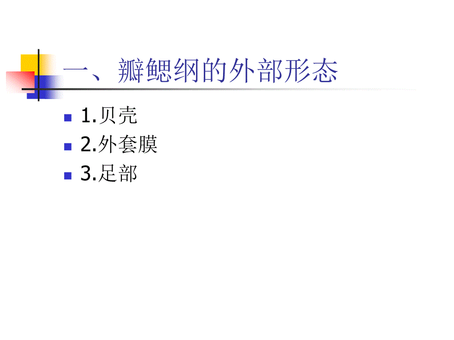 第二章_贝类的外部形态资料_第2页