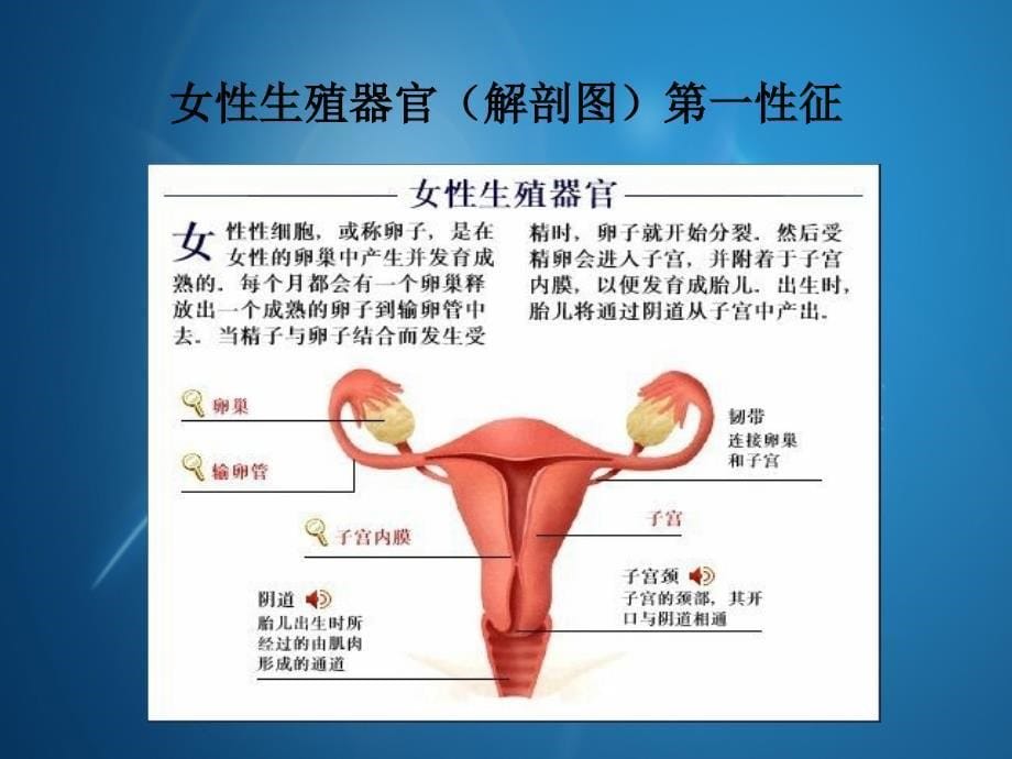 青春女生生理心理辅导_第5页