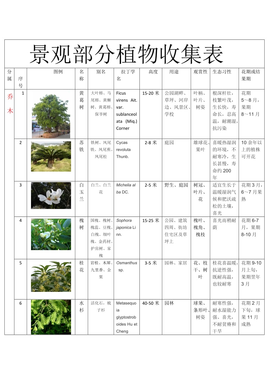 校园植物分类介绍_第1页