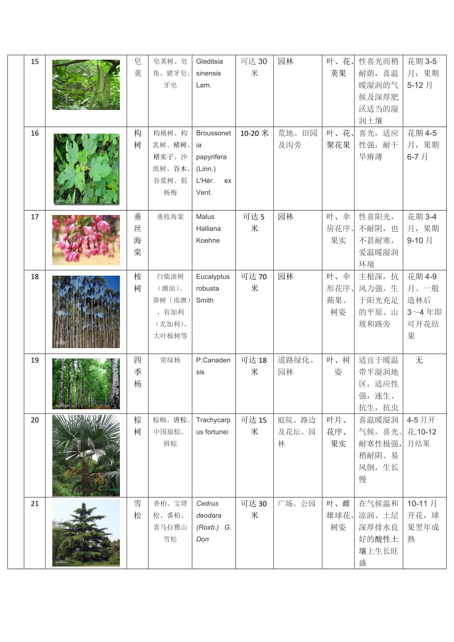 校园植物分类介绍_第3页