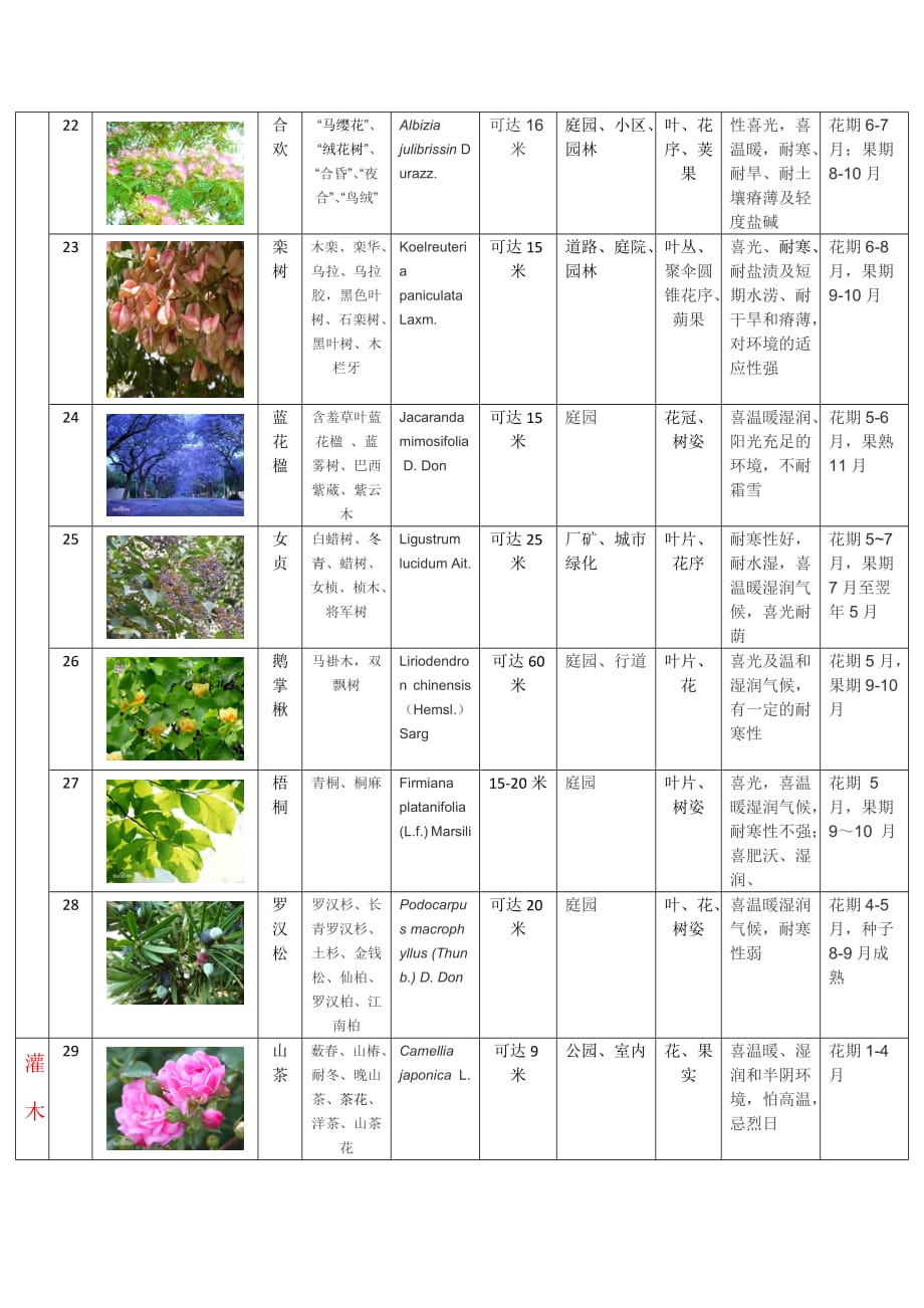 校园植物分类介绍_第4页