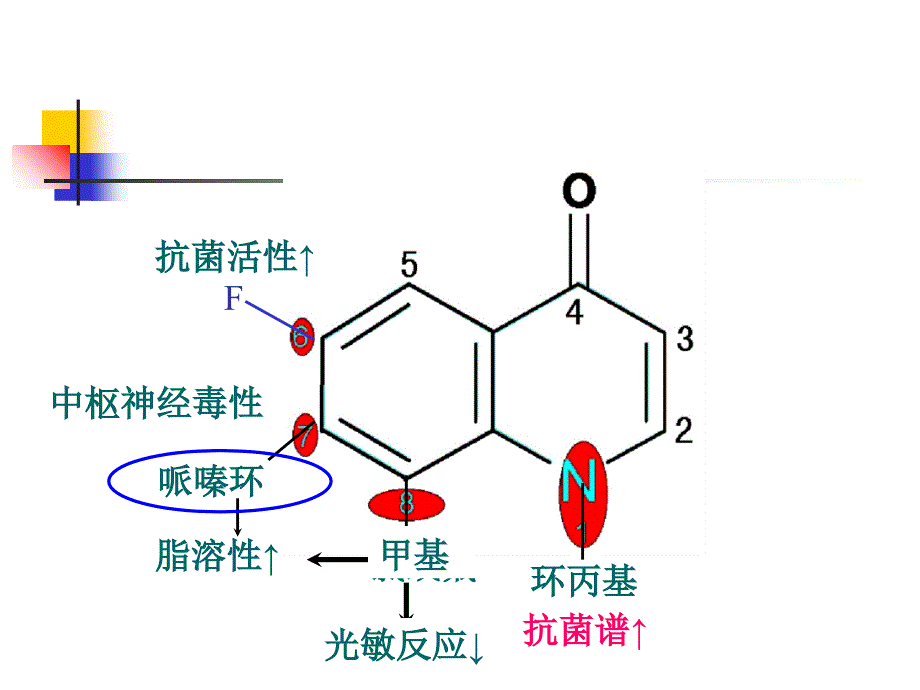 人工合成抗菌药_5.ppt_第4页