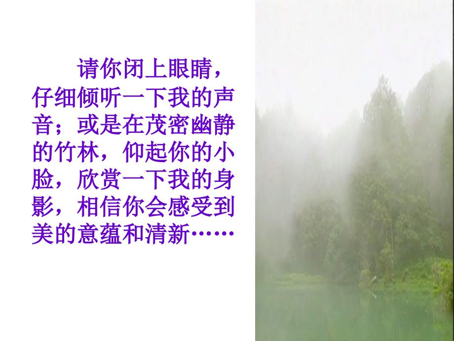 综合《雨的诉说》汇总_第4页