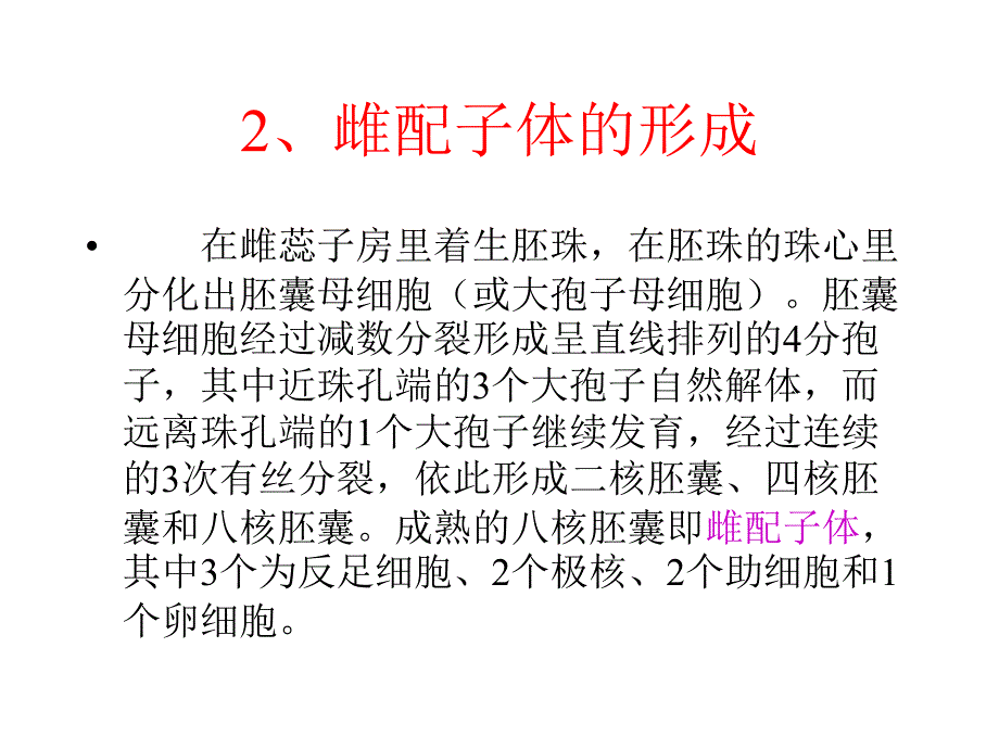 配子的形成与受精作用(职高)_第2页