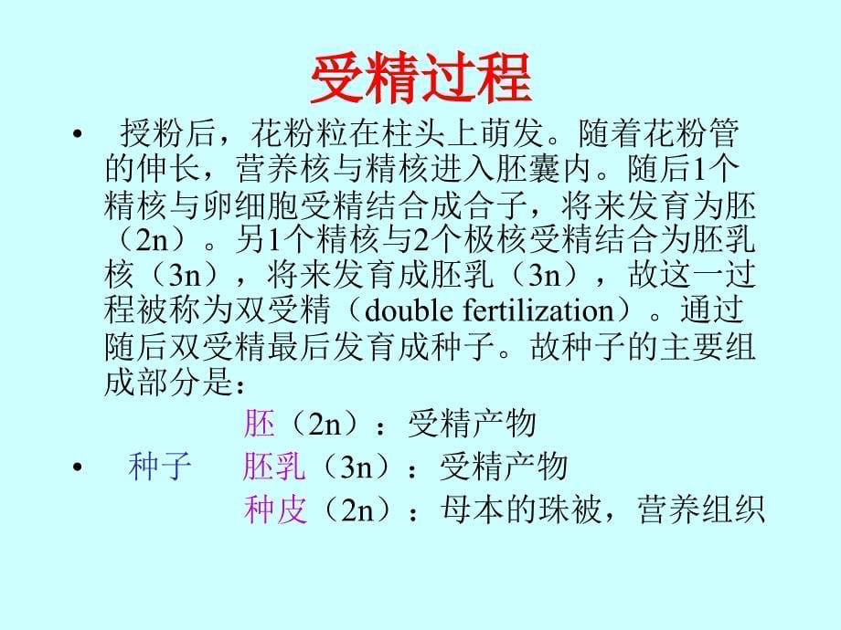 配子的形成与受精作用(职高)_第5页